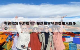 布達拉宮導游費用？布達拉宮導游費用大概多少