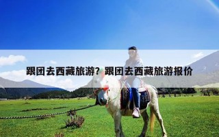 跟團(tuán)去西藏旅游？跟團(tuán)去西藏旅游報(bào)價(jià)
