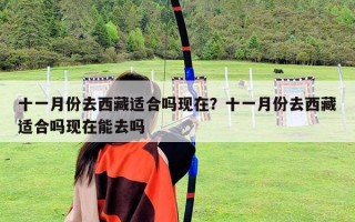 十一月份去西藏適合嗎現(xiàn)在？十一月份去西藏適合嗎現(xiàn)在能去嗎