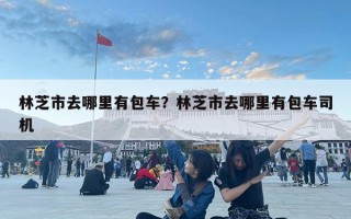 林芝市去哪里有包車(chē)？林芝市去哪里有包車(chē)司機(jī)