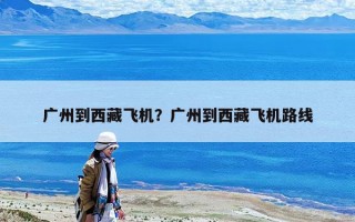 廣州到西藏飛機？廣州到西藏飛機路線