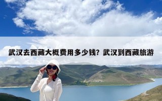 武漢去西藏大概費用多少錢？武漢到西藏旅游