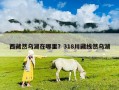 西藏然烏湖在哪里？318川藏線然烏湖