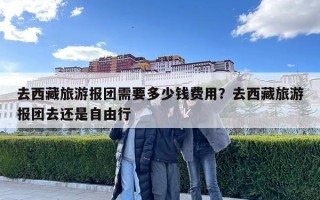 去西藏旅游報團需要多少錢費用？去西藏旅游報團去還是自由行