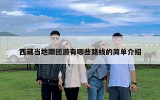 西藏當地跟團游有哪些路線的簡單介紹