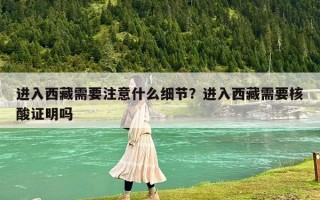 進(jìn)入西藏需要注意什么細(xì)節(jié)？進(jìn)入西藏需要核酸證明嗎
