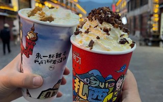 2個人到西藏跟團(tuán)游費用要多少？兩個人跟團(tuán)去拉薩八天好多錢？