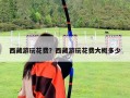 西藏游玩花費？西藏游玩花費大概多少