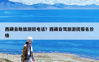 西藏自助旅游團電話？西藏自駕旅游團報名價格