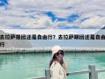 去拉薩報團還是自由行？去拉薩跟團還是自由行