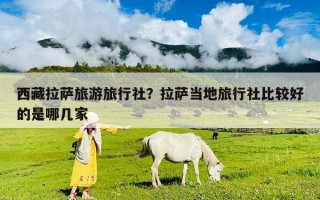 西藏拉薩旅游旅行社？拉薩當(dāng)?shù)芈眯猩绫容^好的是哪幾家