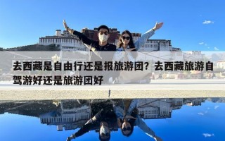 去西藏是自由行還是報(bào)旅游團(tuán)？去西藏旅游自駕游好還是旅游團(tuán)好