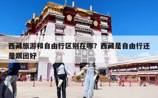 西藏旅游和自由行區別在哪？西藏是自由行還是跟團好