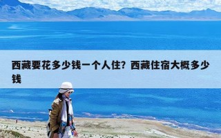 西藏要花多少錢一個人?。课鞑刈∷薮蟾哦嗌馘X