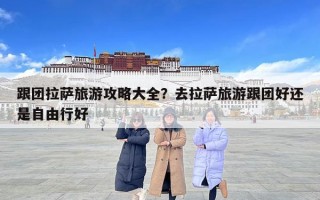 跟團拉薩旅游攻略大全？去拉薩旅游跟團好還是自由行好