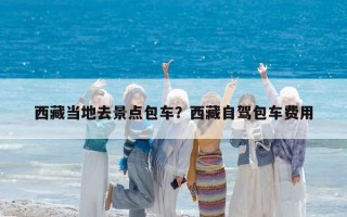 西藏當地去景點包車？西藏自駕包車費用