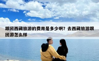 跟團西藏旅游的費用是多少??？去西藏旅游跟團游怎么樣