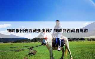 鐵嶺報團去西藏多少錢？鐵嶺到西藏自駕游