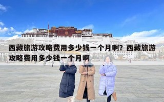 西藏旅游攻略費用多少錢一個月啊？西藏旅游攻略費用多少錢一個月啊