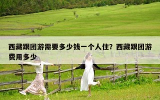 西藏跟團游需要多少錢一個人?。课鞑馗鷪F游費用多少