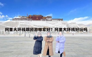阿里大環線跟團游哪家好？阿里大環線好玩嗎