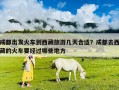 成都出發(fā)火車到西藏旅游幾天合適？成都去西藏的火車要經(jīng)過哪些地方