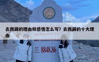 去西藏的理由和感悟怎么寫(xiě)？去西藏的十大理由