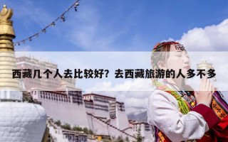 西藏幾個人去比較好？去西藏旅游的人多不多