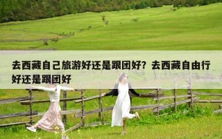 去西藏自己旅游好還是跟團(tuán)好？去西藏自由行好還是跟團(tuán)好