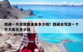 西藏一月游需要準備多少錢？西藏自駕游一個月大概花多少錢