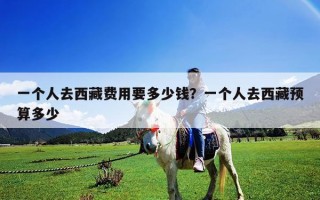一個人去西藏費用要多少錢？一個人去西藏預算多少