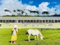 現(xiàn)在到西藏？現(xiàn)在到西藏旅游還有窮游亂像嗎?