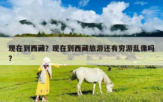 現(xiàn)在到西藏？現(xiàn)在到西藏旅游還有窮游亂像嗎?
