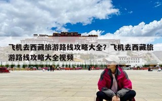 飛機去西藏旅游路線攻略大全？飛機去西藏旅游路線攻略大全視頻