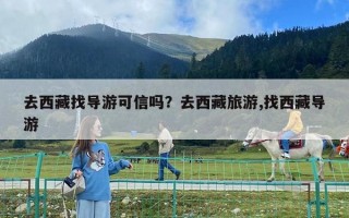 去西藏找導(dǎo)游可信嗎？去西藏旅游,找西藏導(dǎo)游