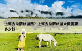 上海去拉薩旅游團(tuán)？上海去拉薩旅游大概需要多少錢