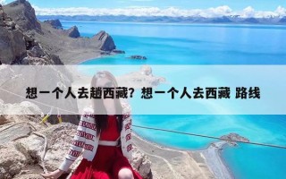 想一個(gè)人去趟西藏？想一個(gè)人去西藏 路線(xiàn)