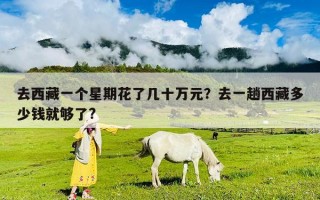 去西藏一個星期花了幾十萬元？去一趟西藏多少錢就夠了?