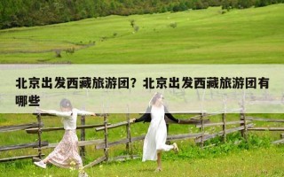 北京出發(fā)西藏旅游團(tuán)？北京出發(fā)西藏旅游團(tuán)有哪些