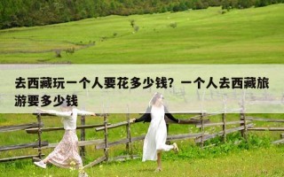 去西藏玩一個人要花多少錢？一個人去西藏旅游要多少錢