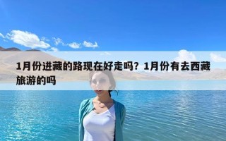 1月份進藏的路現在好走嗎？1月份有去西藏旅游的嗎