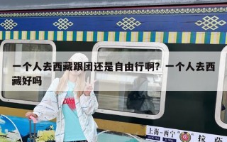 一個人去西藏跟團還是自由行啊？一個人去西藏好嗎