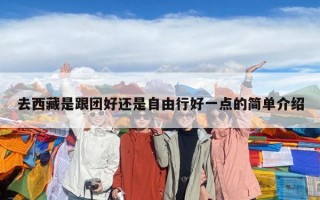 去西藏是跟團好還是自由行好一點的簡單介紹