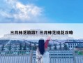 三月林芝旅游？三月林芝桃花攻略