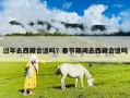 過年去西藏合適嗎？春節期間去西藏合適嗎