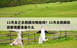 11月自己去西藏攻略路線？11月去西藏旅游都需要準備什么