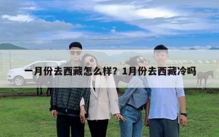 一月份去西藏怎么樣？1月份去西藏冷嗎