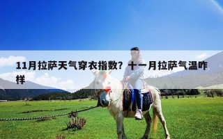 11月拉薩天氣穿衣指數？十一月拉薩氣溫咋樣
