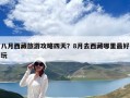 八月西藏旅游攻略四天？8月去西藏哪里最好玩