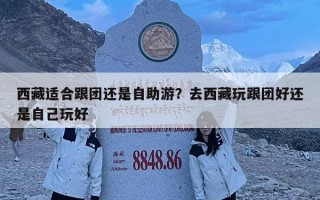 西藏適合跟團還是自助游？去西藏玩跟團好還是自己玩好